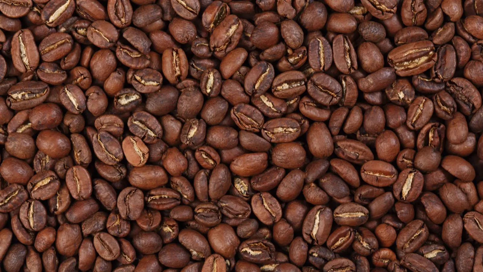 3. Sidamo