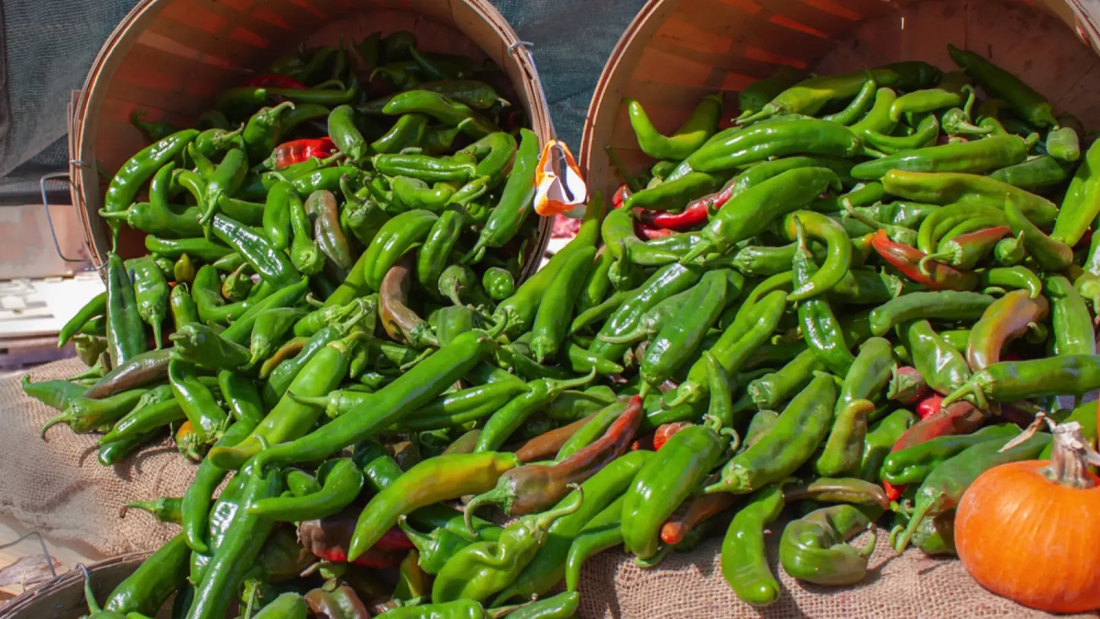 5. Hatch Green Chile