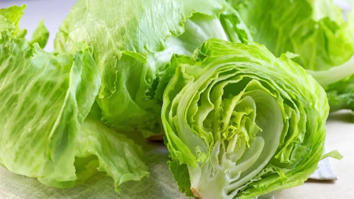 9. Lettuce at Leafy Greens