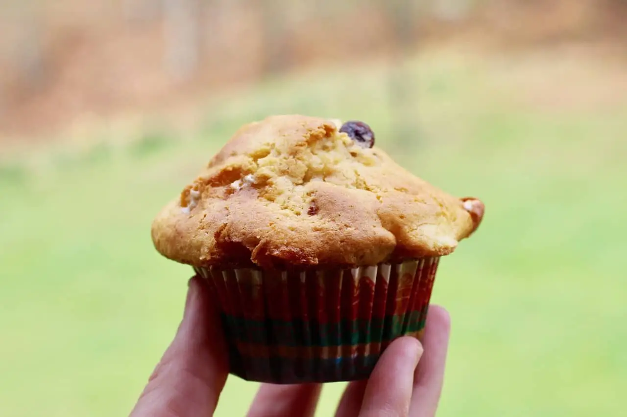 Bakery Style S'mores Muffins