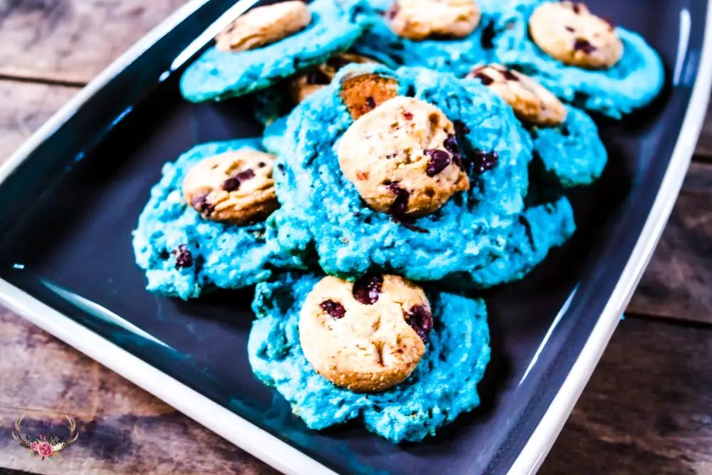 Galletas de monstruo de galletas Galletas de Barrio Sésamo Galletas de chocolate azul