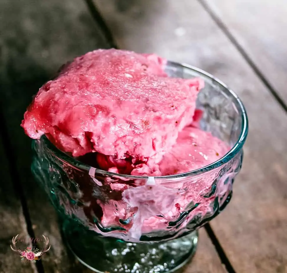 Easy Homemade Cookie Monster Ice Cream