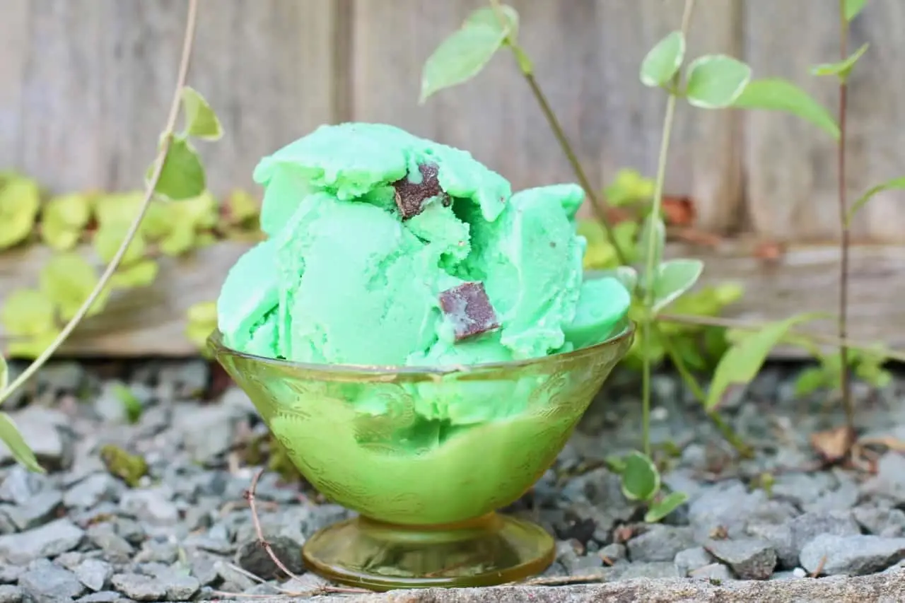 Easy Homemade Cookie Monster Ice Cream