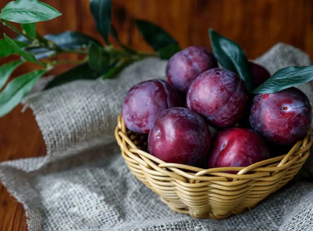 Paano Ka Mag-iimbak ng Plums?