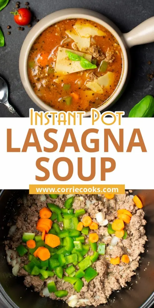 Instant Pot Soup Recipes