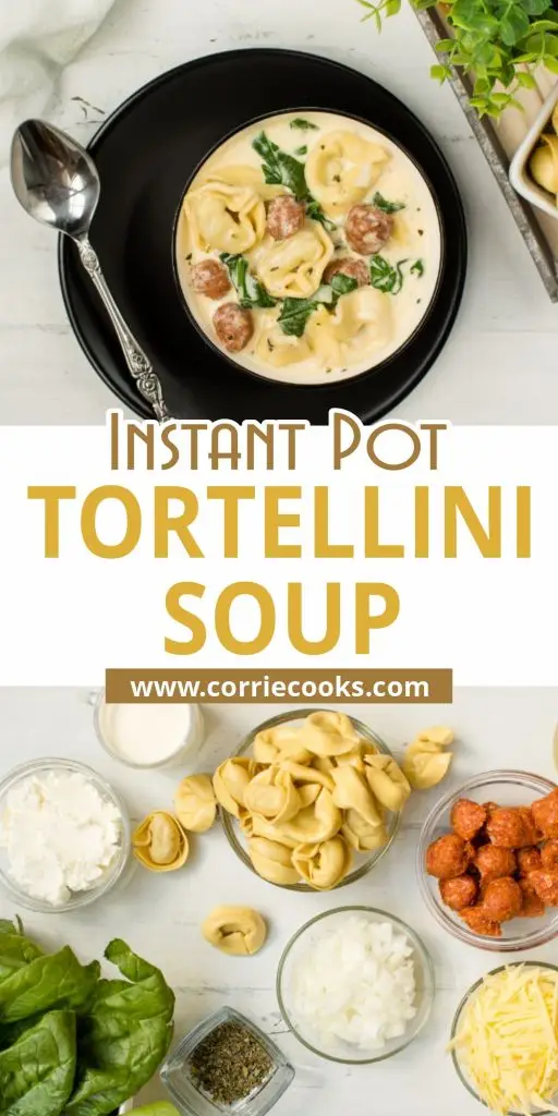 Instant Pot Soup Recept