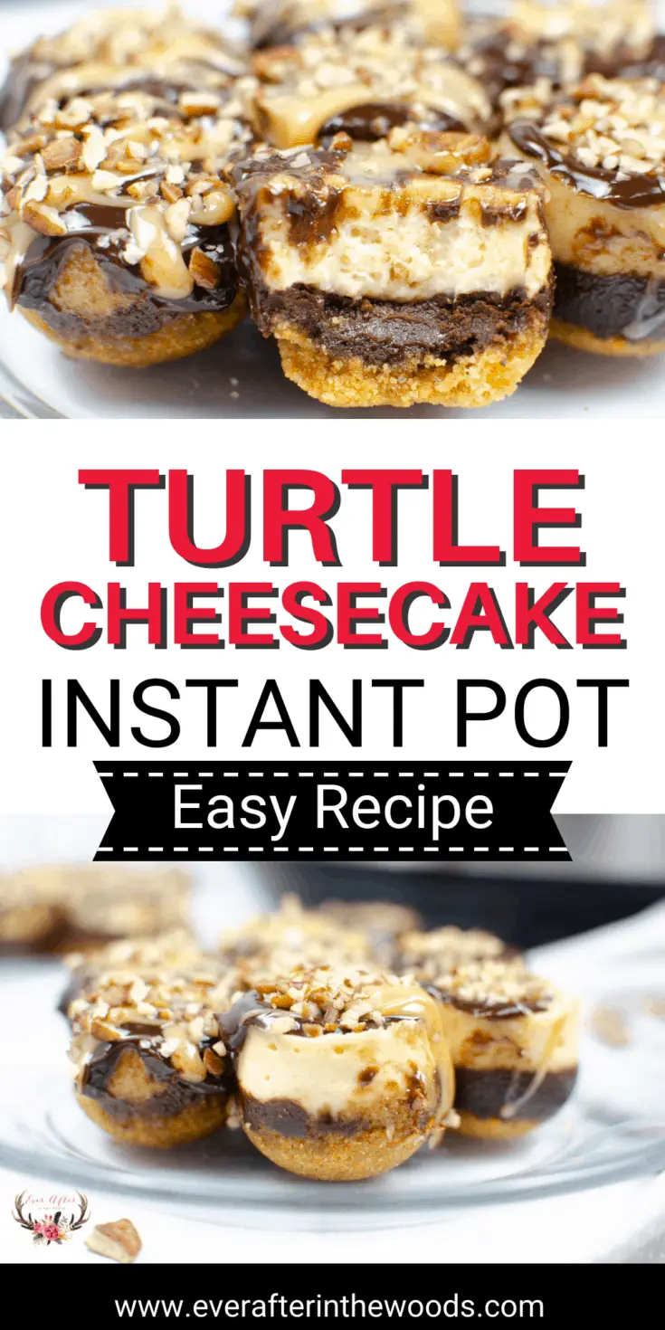 Instant Pot Turtle Cheesecake