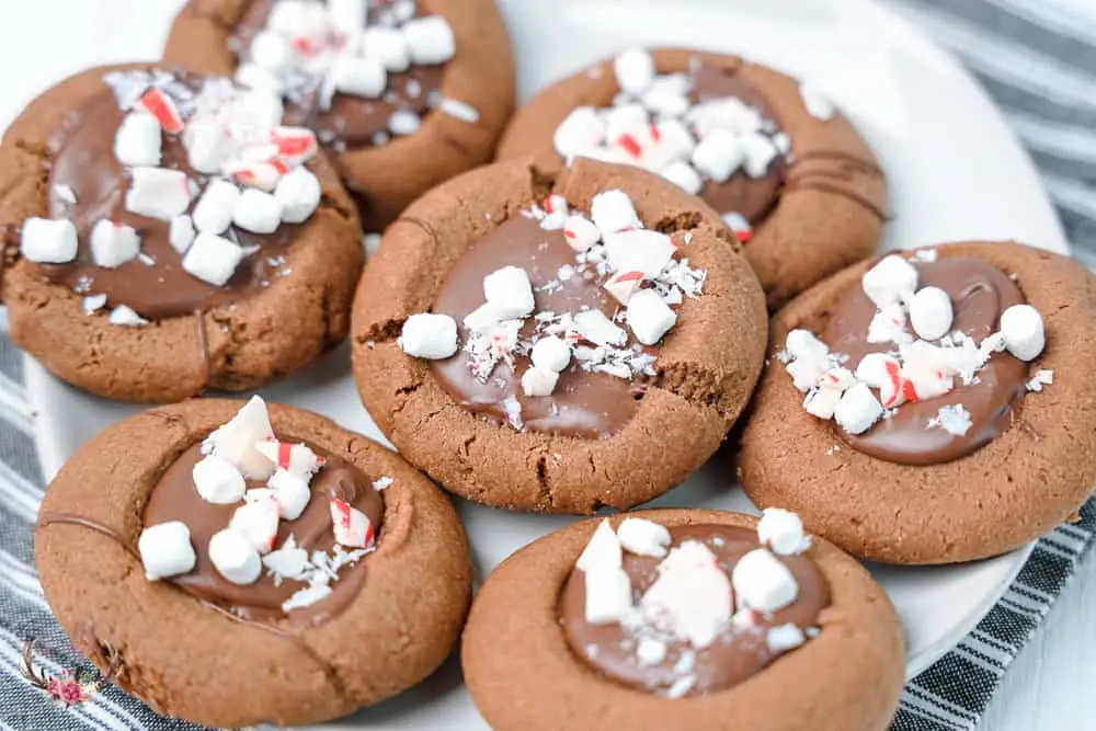 Instruções para fazer biscoitos de chocolate e hortelã-pimenta