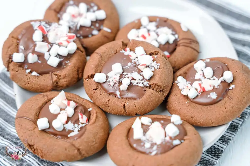 Instruções para fazer biscoitos de chocolate e hortelã-pimenta