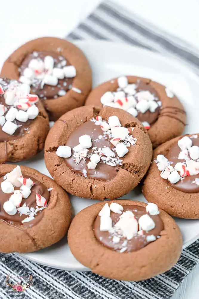 Instructions pour préparer des biscuits au chocolat et à la menthe poivrée