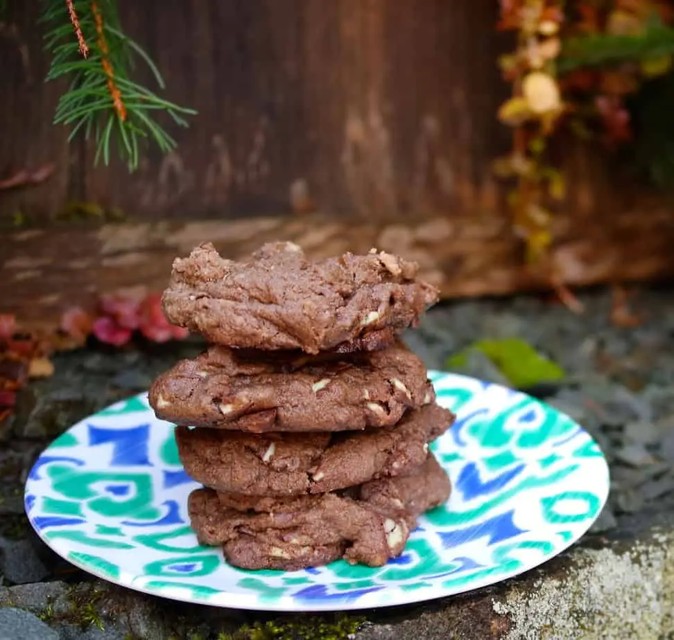 A melhor receita de biscoito de chocolate com menta