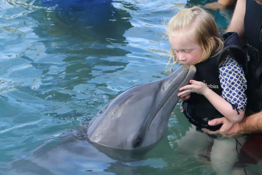 Kodėl turėtumėte užsisakyti delfinų ekskursiją Negrilo paplūdimiuose